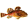altergoldfisch.png