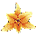 plant76.gif