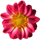 plant80.png