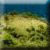 traumendequalleinsel44.jpg