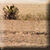 zahra-weg141.jpg