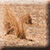 zahra-weg142.jpg