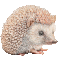 echterigel.gif