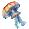 feuertraenenqualle.gif