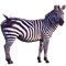gestreiftespferd.png