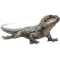 graubartechse.png