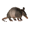 guerteltier.gif