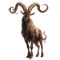 hangstelzer.png
