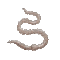 mehlwurm.gif