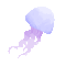 pockenqualle.gif