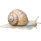 schleike.png