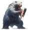 silberflussb%C3%A4r.png