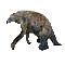 somniumor.gif