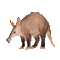 terramor.gif